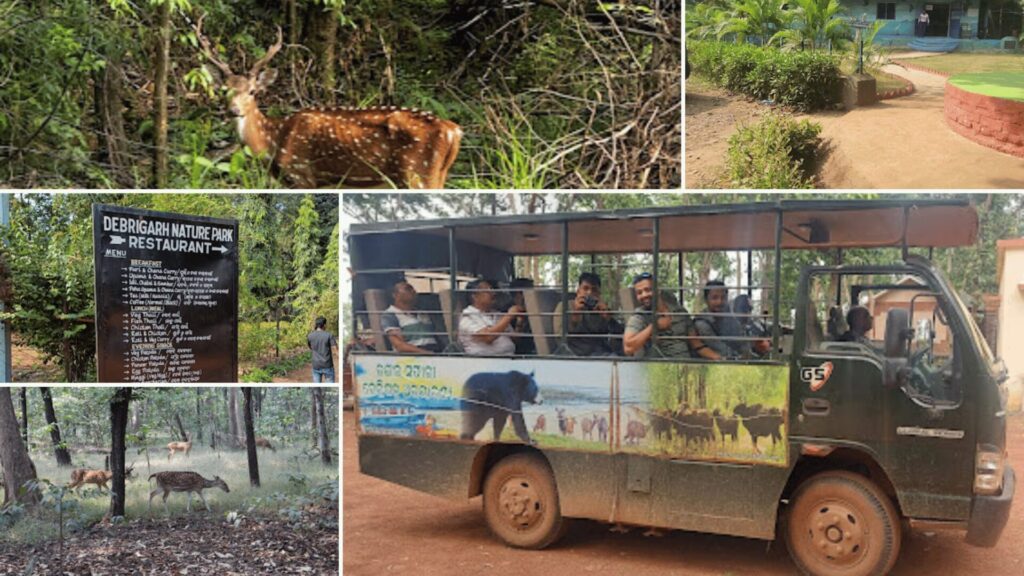 Debrigarh Wildlife Sanctuary Safari booking prices