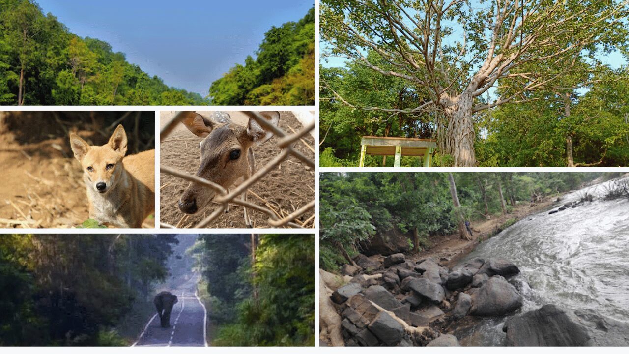 Discover Western Odisha Heritage Triangle: Kalahandi