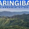 Daringbadi Nature Camp: Discover the Kashmir of Odisha’s Hidden Beaut