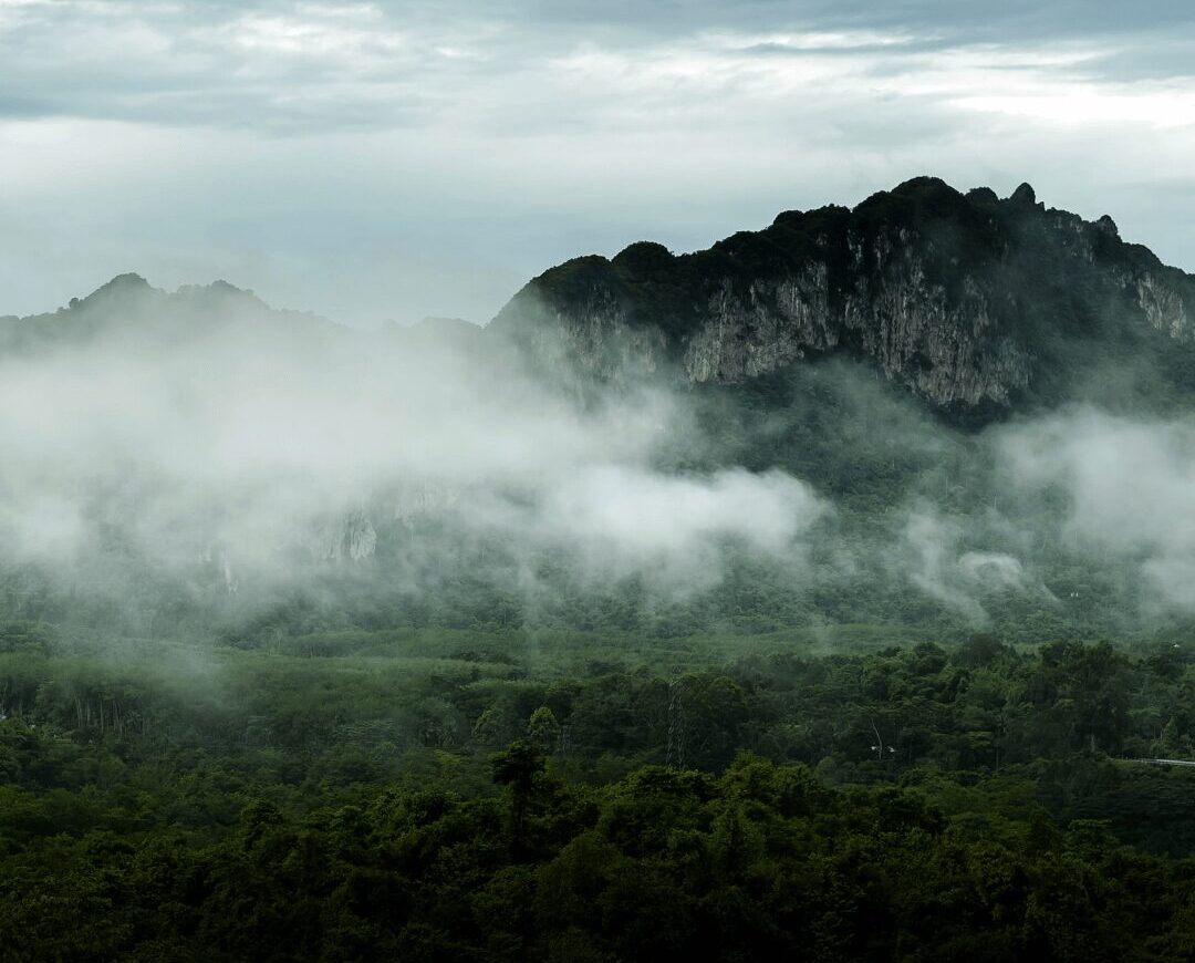 Gandhamardan hills