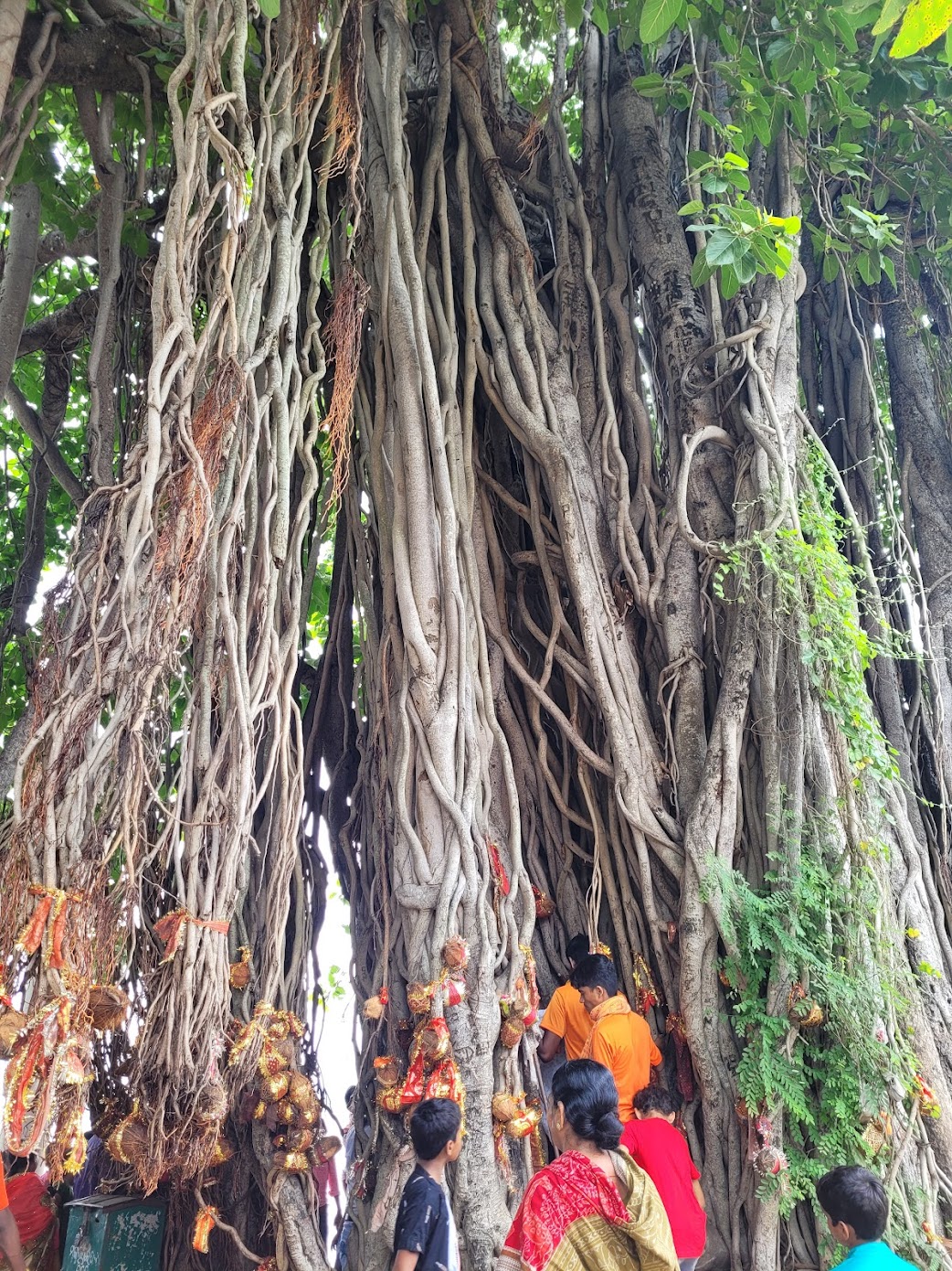 Discovering the Divine Waters of Papakshya Ghat, Binika