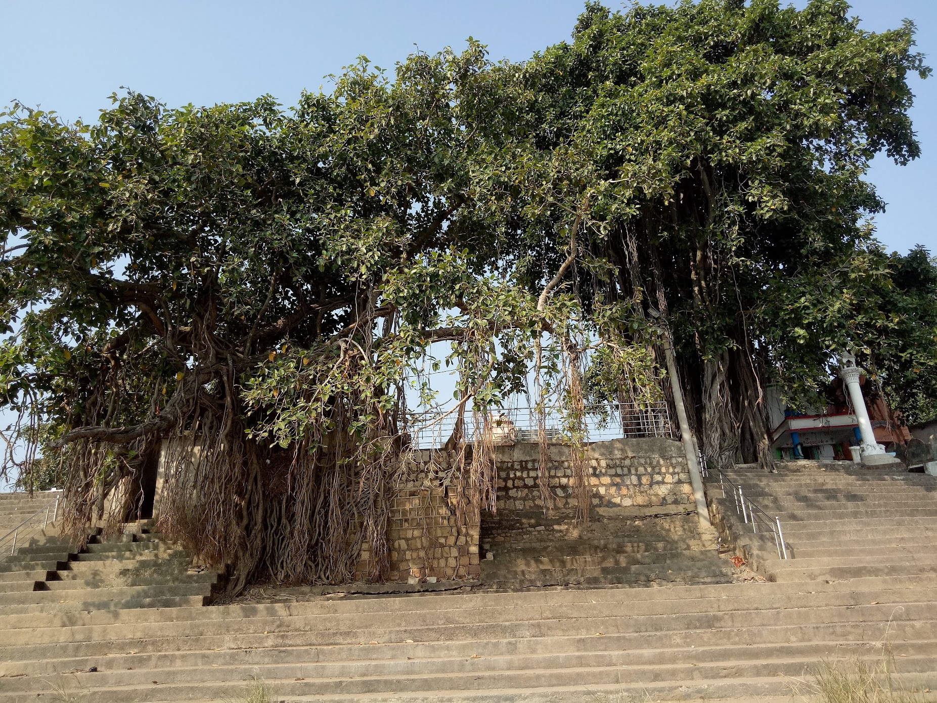 Discovering the Divine Waters of Papakshya Ghat, Binika